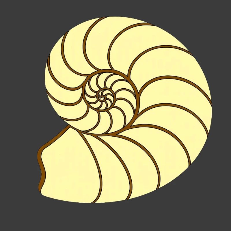 Ammunit Drawing