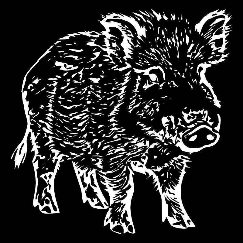 sanglier