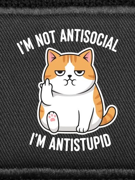 Grumpy Attitude Cat Antistupid