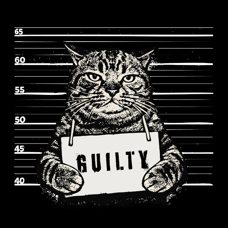 Grimmiger Kater – Mugshot Guilty Design