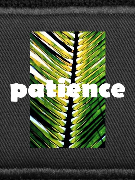 PATIENCE