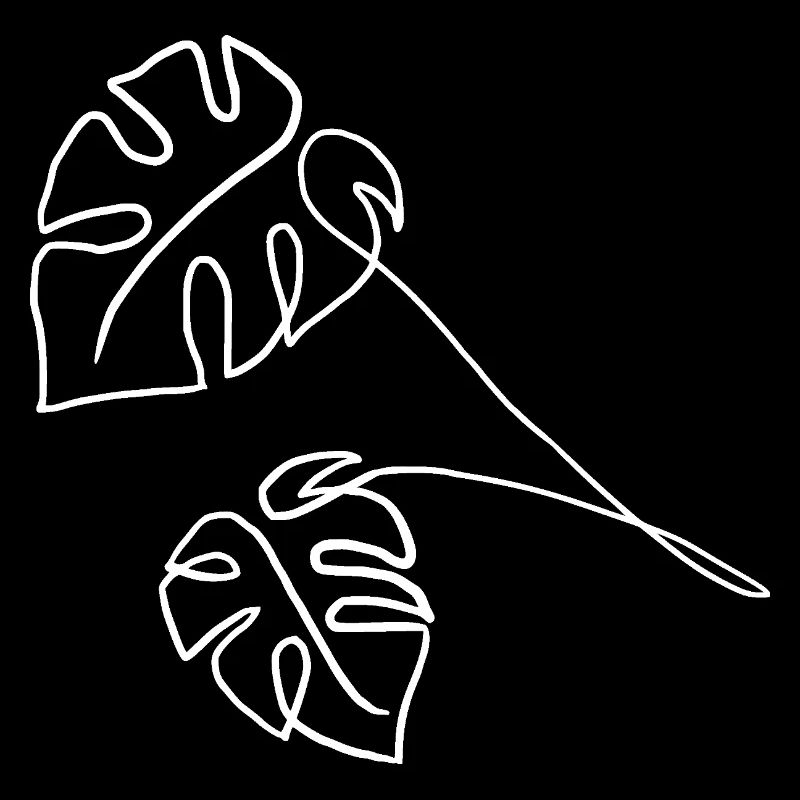 Monstera