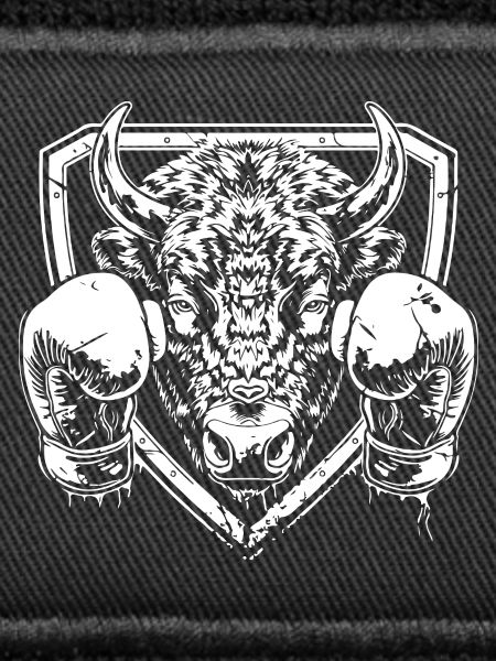 Bison Boxing MMA