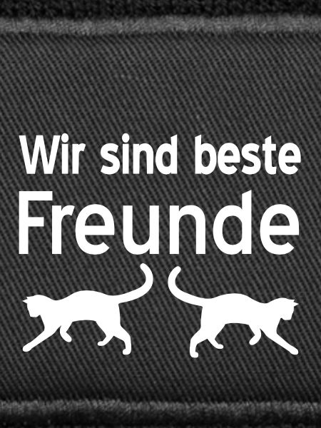 feline