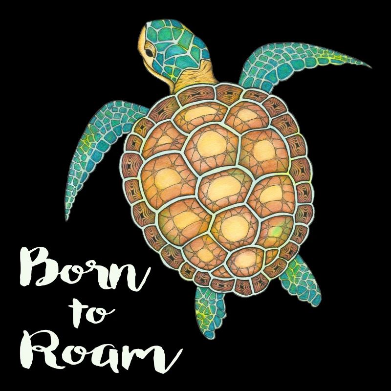 Sea Turtle Born to roam
