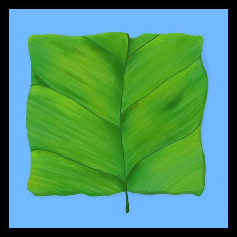 The Square Leaf