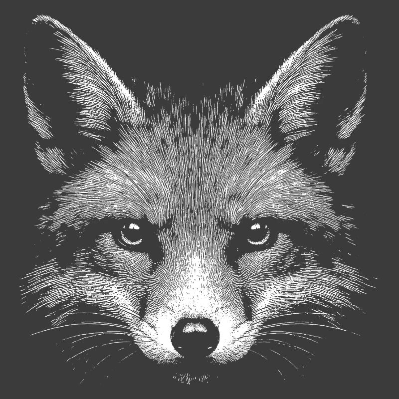 Red fox