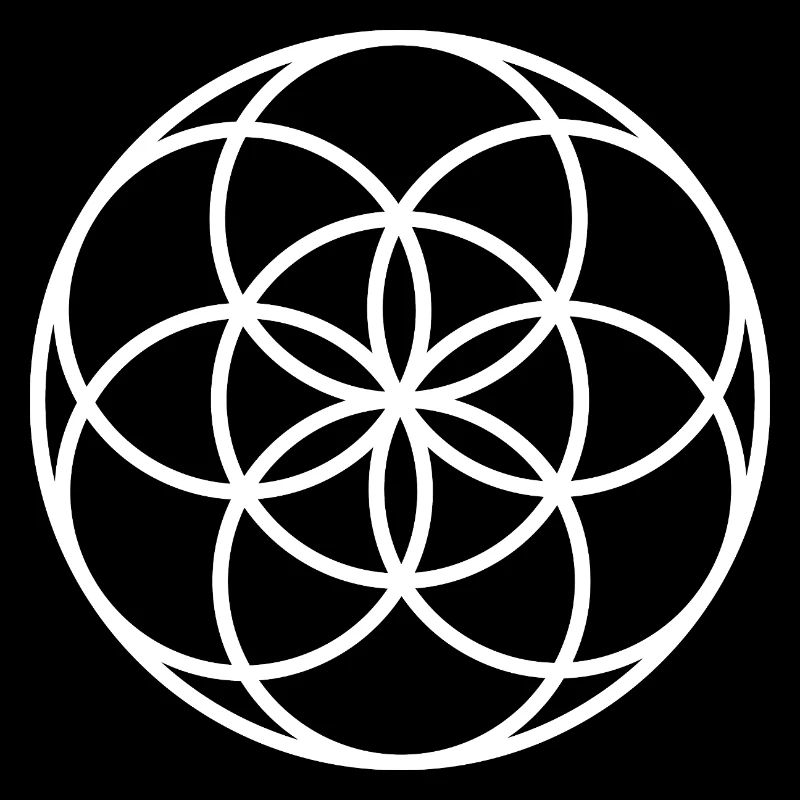 Samen des Lebens – Heilige Geometrie