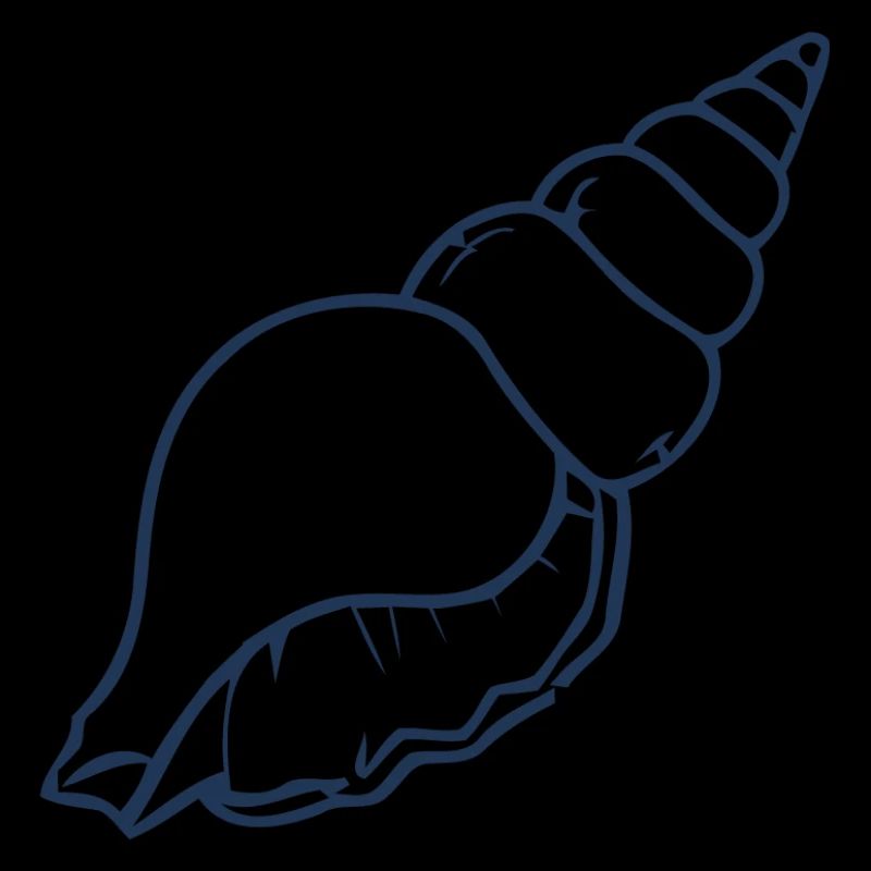 Seashell Minimal Ocean Beach Aesthetic Design