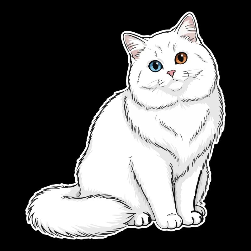 Weiße Katzen-Angora-Augen Minnows-Porträt Elegant