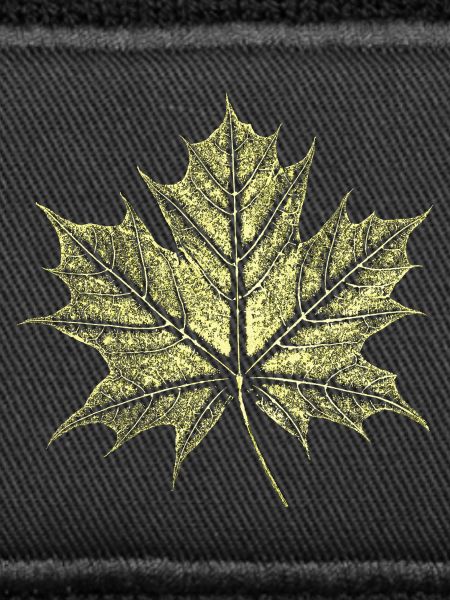 Maple Leaf / Botany - Natural