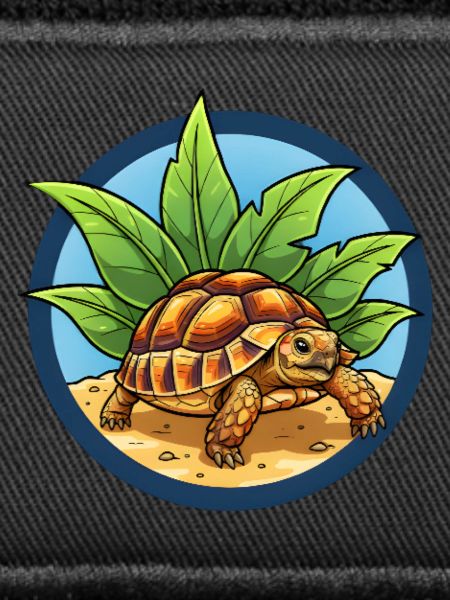 Tortue égyptienne