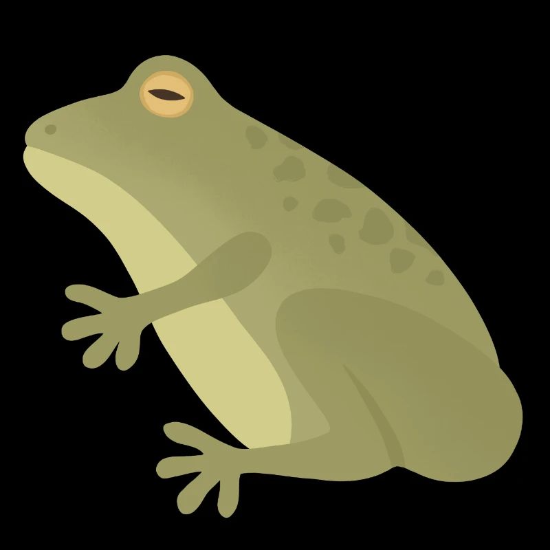 Silhouette de grenouille émeraude sur tons terreux