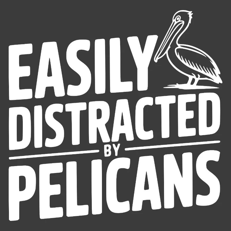 Facilement distrait par les pélicans