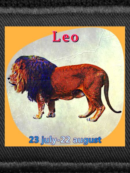 lion