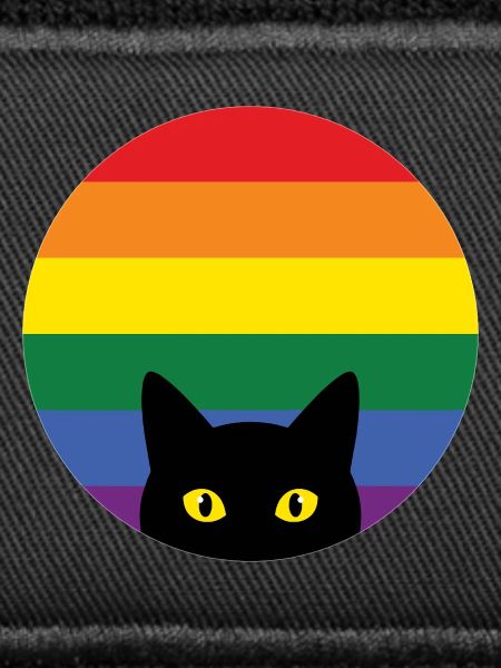 Pride Month LGBT – Späh-Katze