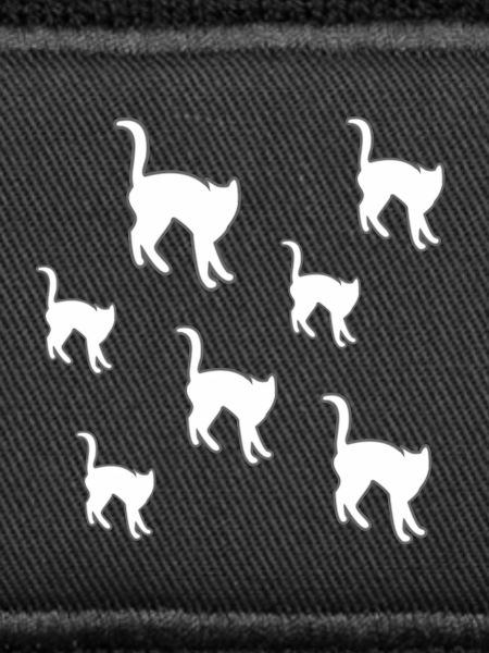 feline