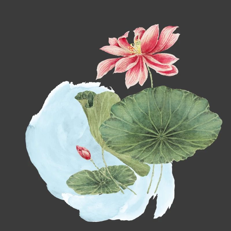 Magie de la Fleur d’Aquarelle en Nénuphar
