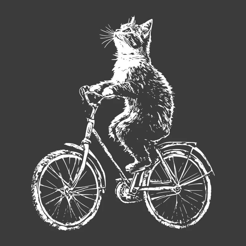 Funny Bicycle Cat