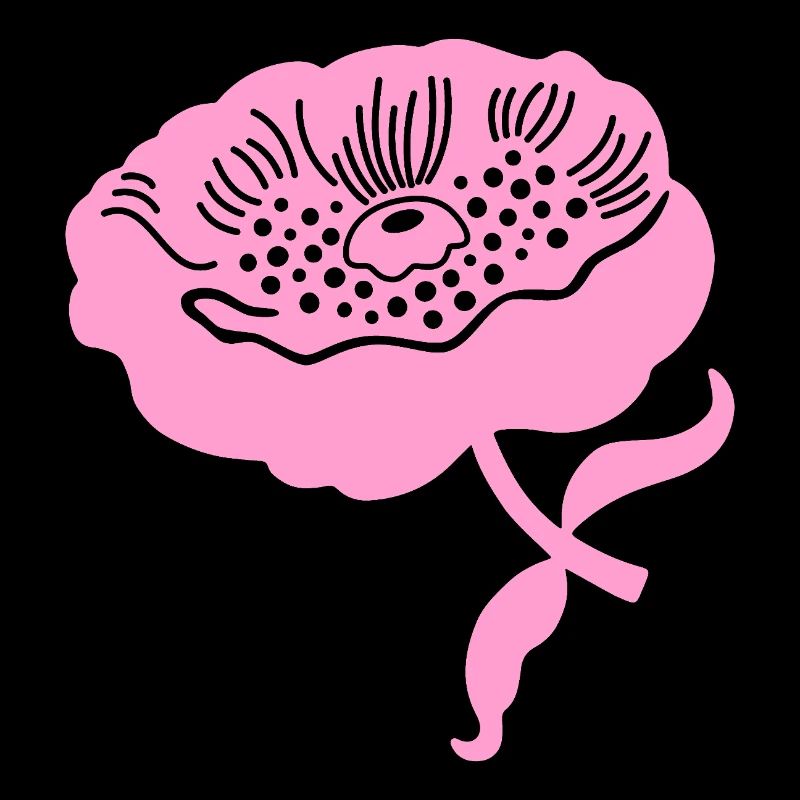 Pfingstrone L botanisch Pfingstrone L rosa