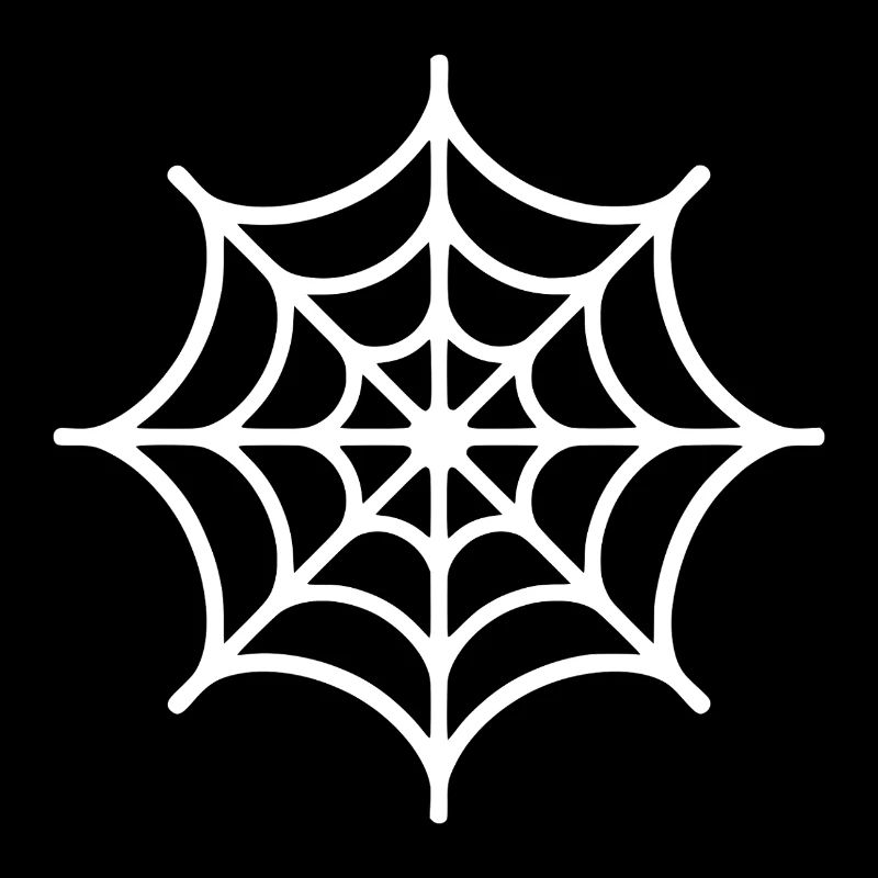 Spinnennetz Spinne