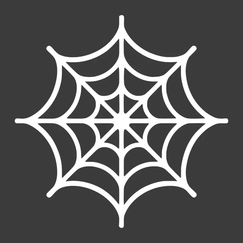 Spider Web Spider