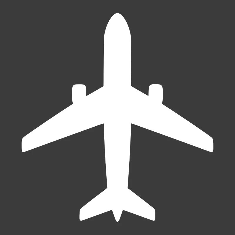Flugzeug