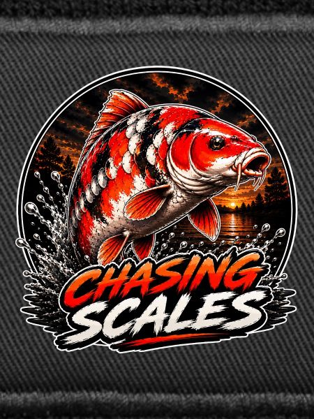 Chasing Scales Koi-Karpfen-Splash-Design
