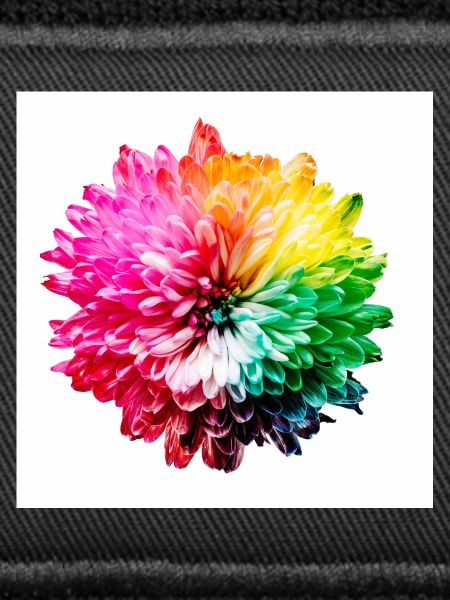 Rainbow Blossom Explosion