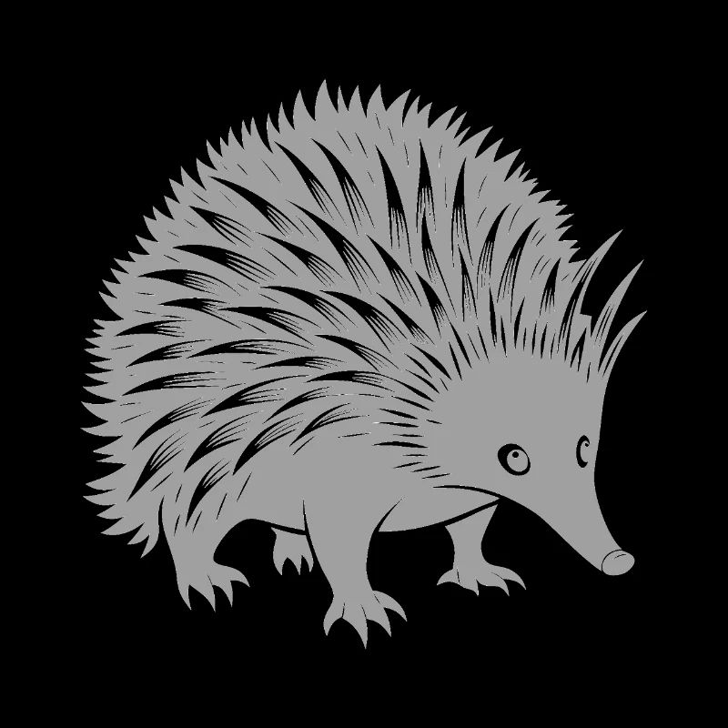 Echidna