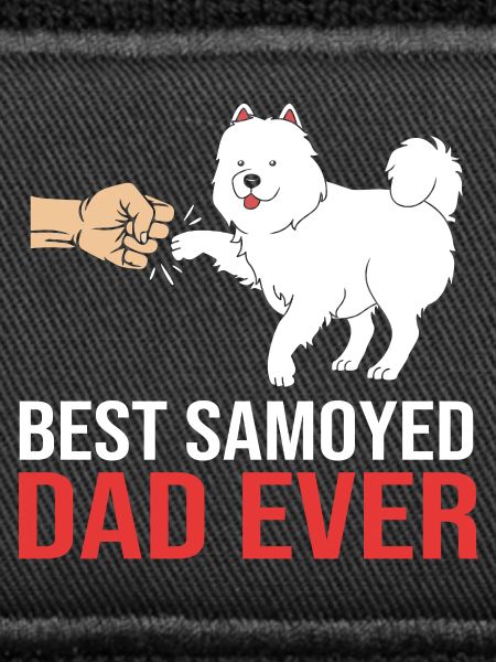 Samoyed