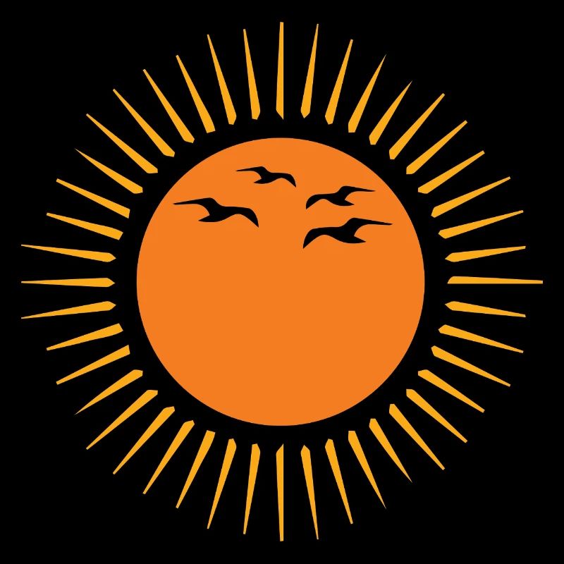 Soleil et oiseaux