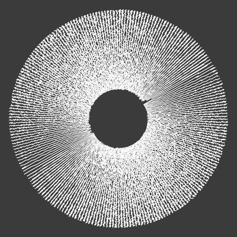 Iris Ringburst Radial Pattern