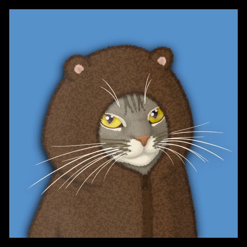 Portrait du Chat à Capuche d’Ours