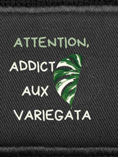 Attention Addict Variegata
