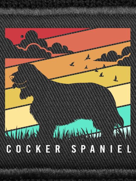 Cocker Spaniel