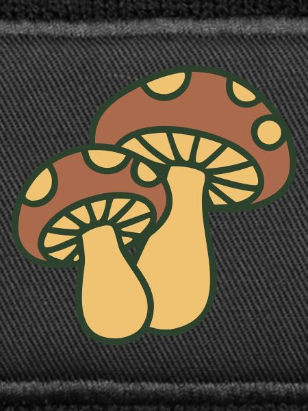 Mushrooms Nature Illustration