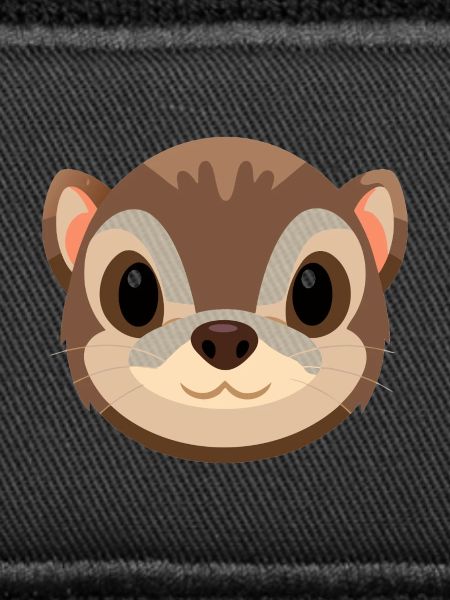 Ferret Face
