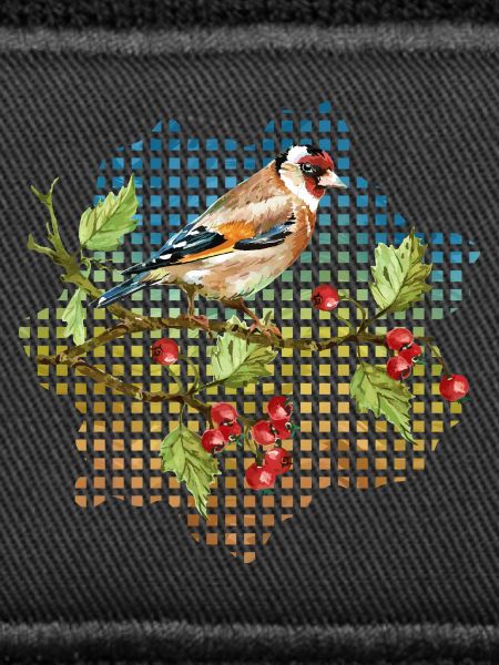 Bunter Vogel