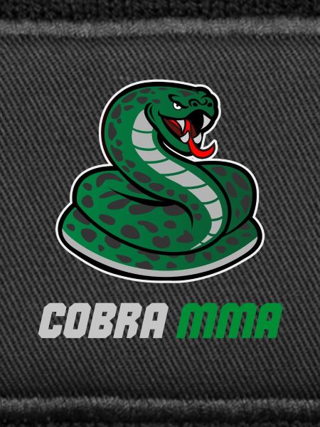 Cobra MMA Gym BJJ