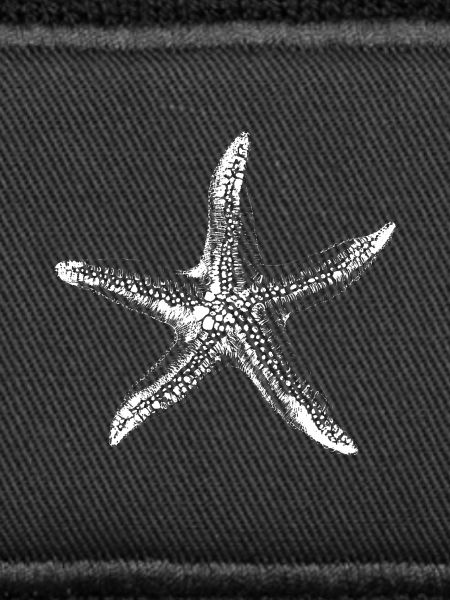 Starfish Sketch Ocean Charm