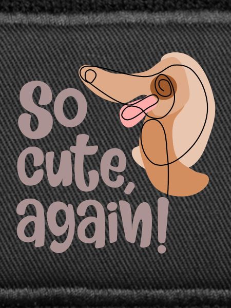 cute dog again