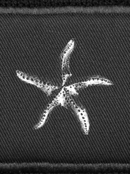 Minimal Starfish Silhouette