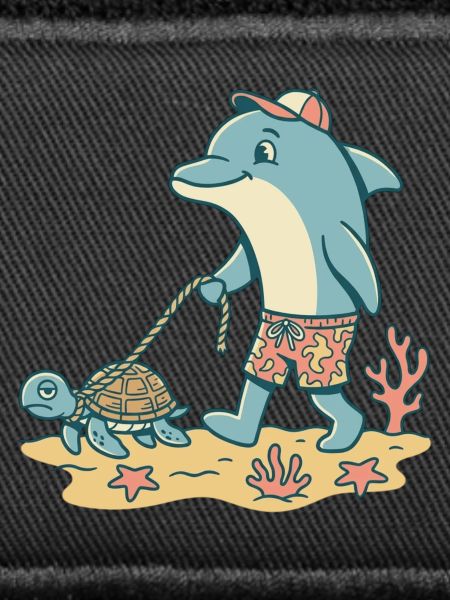 Dolphin walks turtle