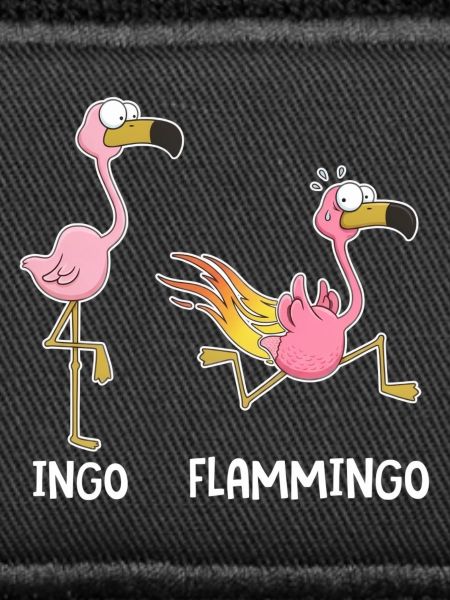 Ingo & Flammingo – Lustige Flamingos