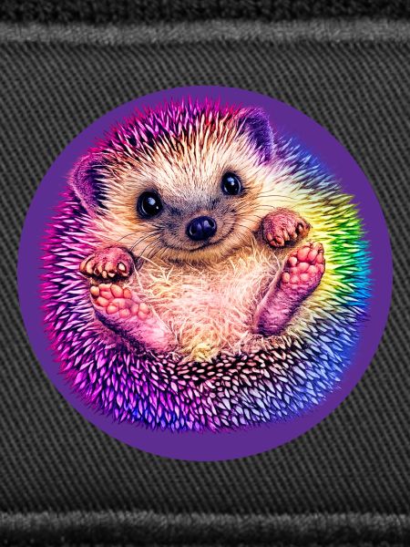 Regenbogen-Igel 
