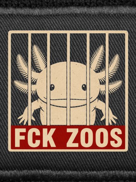 FCK Zoos Axolotl