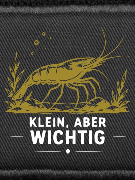 Goldene Garnele mit Botschaft