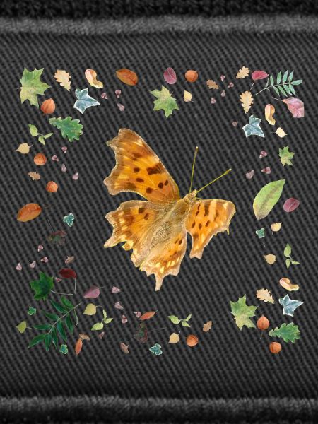 C-Falter mit Herbstlaub