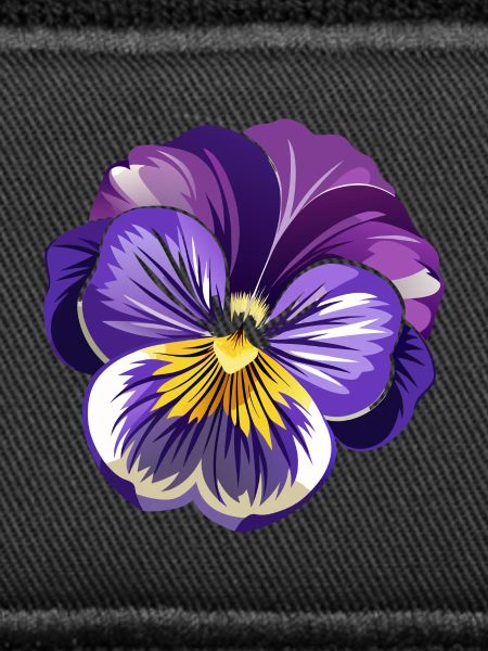 Stiefmütterchenblüte